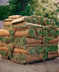 توريد وزراعه العشب الطبيعي