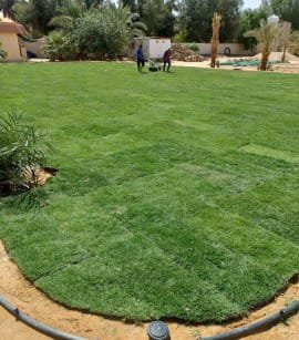 شركة تنسيق حدائق بالمملكة العربيه 17