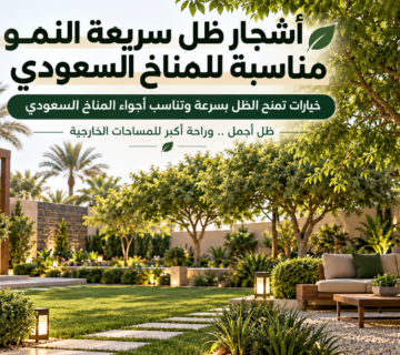 موقع تنسيق الحدائق الرياض والخرج