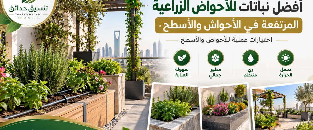 موقع تنسيق حدائق الرياض والخرج افضل موقع تنسيق حدائق