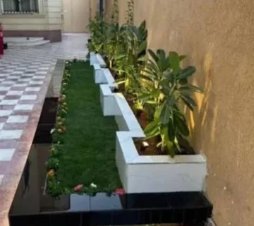 Images 2026 10 11T002413 879