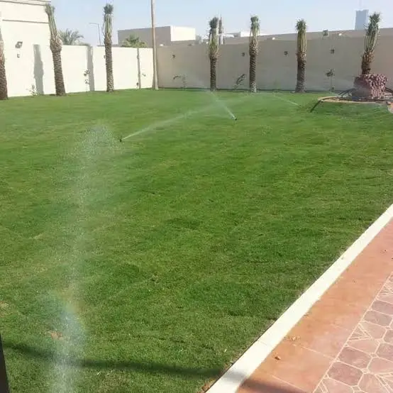 images 2026 10 11T013752.084