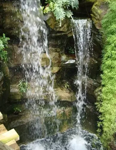 Images 2026 10 11T122500 902