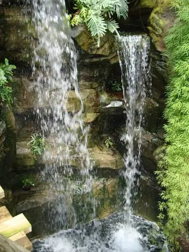 Images 2026 10 11T122500 902